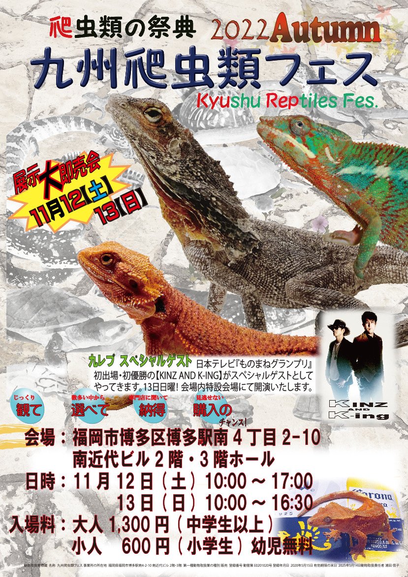 九州爬虫類フェス 九レプ 福岡博多にて開催される爬虫類展示即売イベント