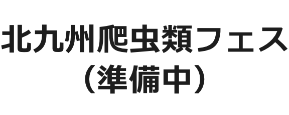 北九州爬虫類フェス