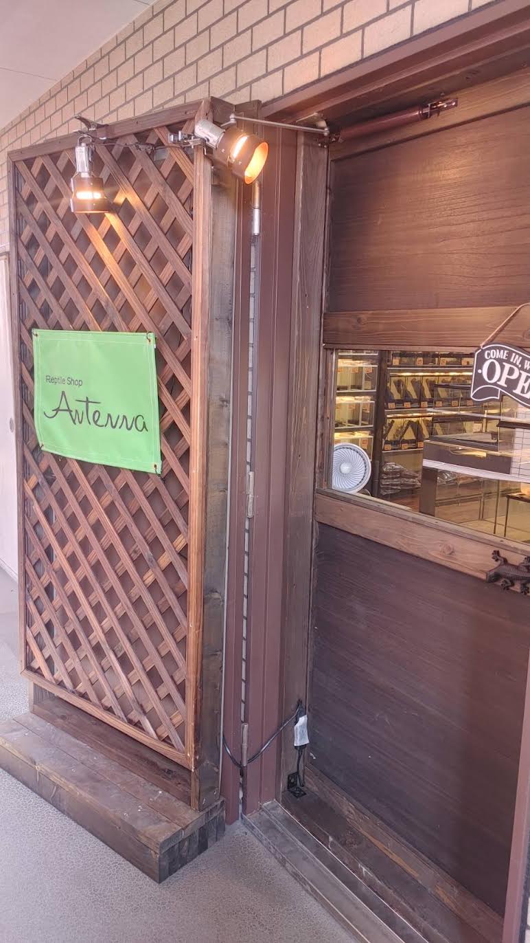 アンテナ小倉店