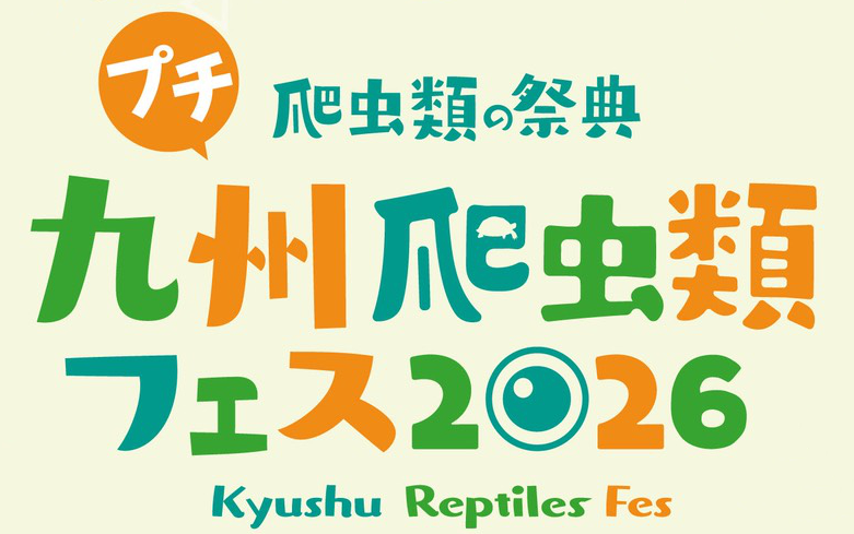 プチ九州爬虫類フェス